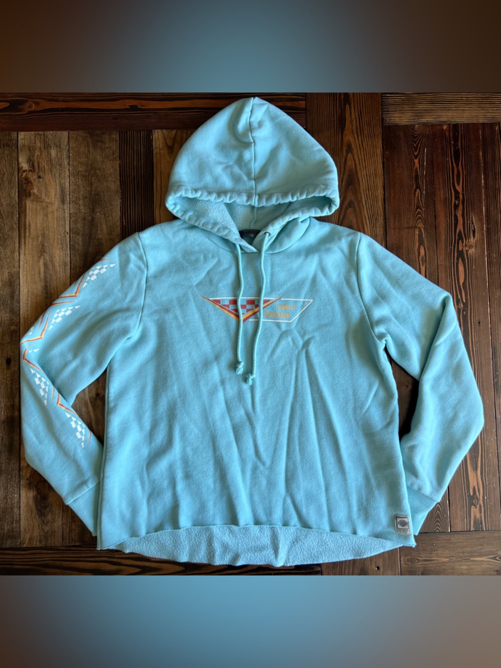 HARLEY DAVIDSON • retro vibe light blue graphic hoodie normcore streetwear biker